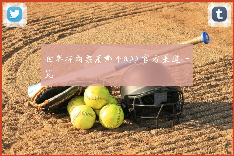 世界杯购票用哪个app 官方渠道一览