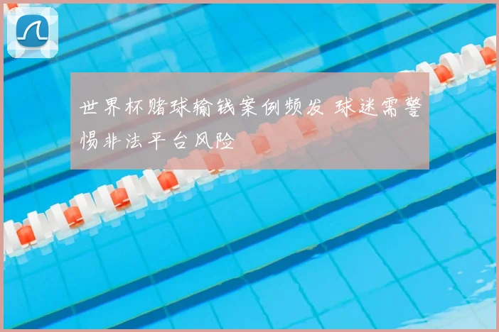 世界杯赌球输钱案例频发 球迷需警惕非法平台风险
