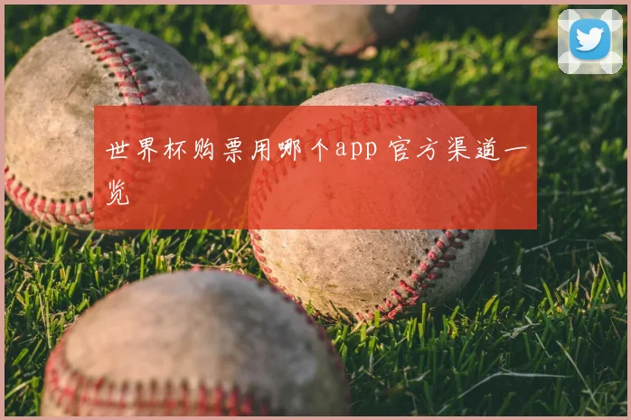 世界杯购票用哪个app 官方渠道一览