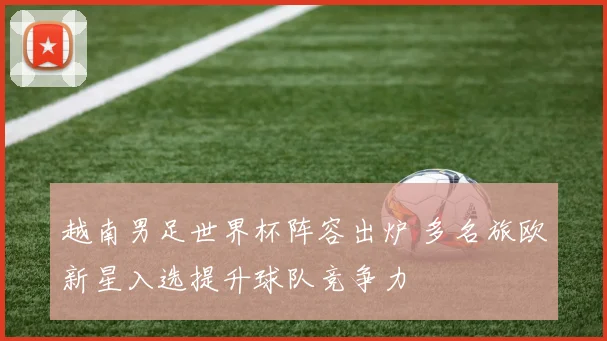 越南男足世界杯阵容出炉 多名旅欧新星入选提升球队竞争力