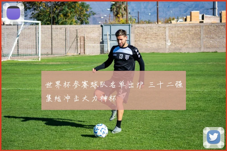 世界杯参赛球队名单出炉 三十二强集结冲击大力神杯