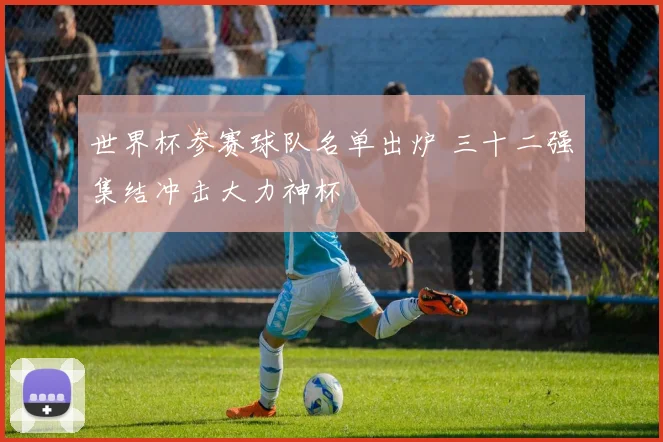 世界杯参赛球队名单出炉 三十二强集结冲击大力神杯