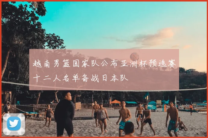 越南男篮国家队公布亚洲杯预选赛十二人名单备战日本队