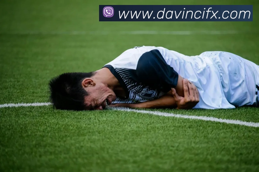 浩瀚体育官方网站首页平台生态图